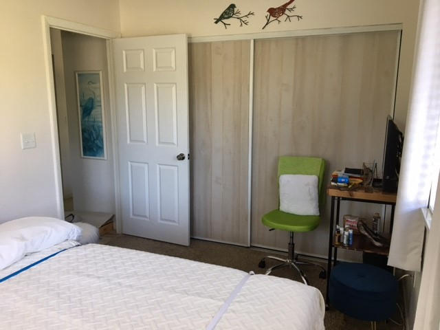 “The Next Bed” Wall-Mounted Murphy Bed Frame - Customer Photo From Donna J.