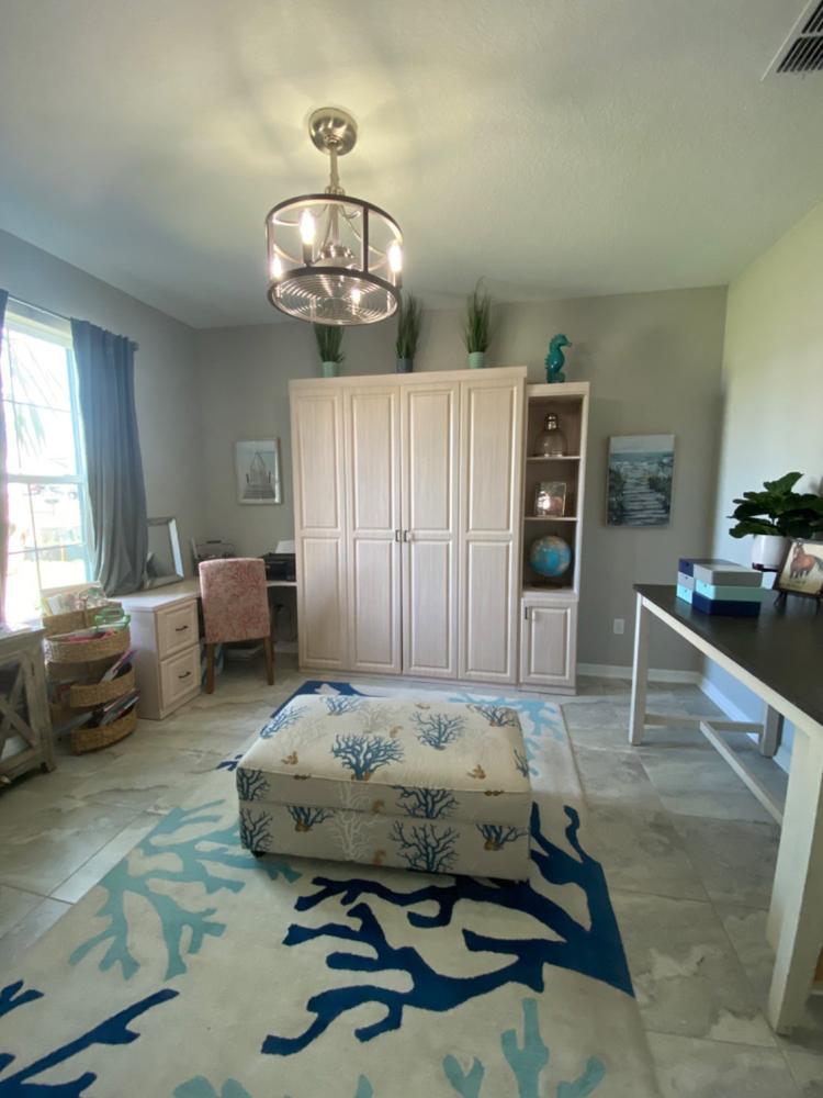 “The Next Bed” Wall-Mounted Murphy Bed Frame - Customer Photo From Ashley M.