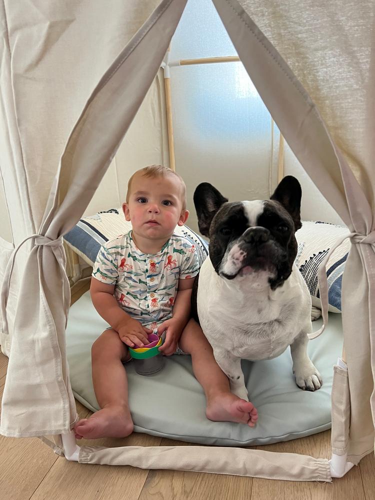 Play Tent - Customer Photo From Sophia 