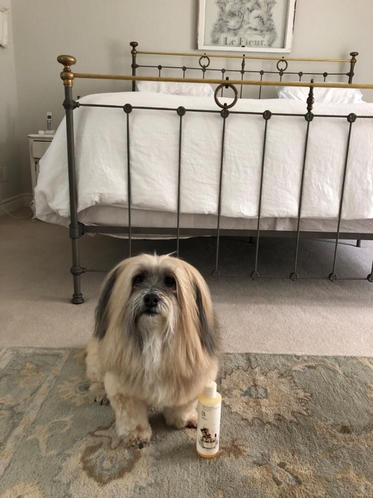 Digby Dog Wash - Customer Photo From Hindy B