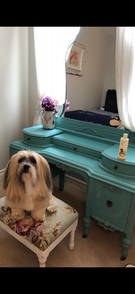 Digby Dog Wash - Customer Photo From Hindy B
