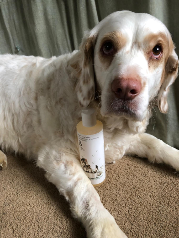 Digby Dog Wash - Customer Photo From Laura Middleditch
