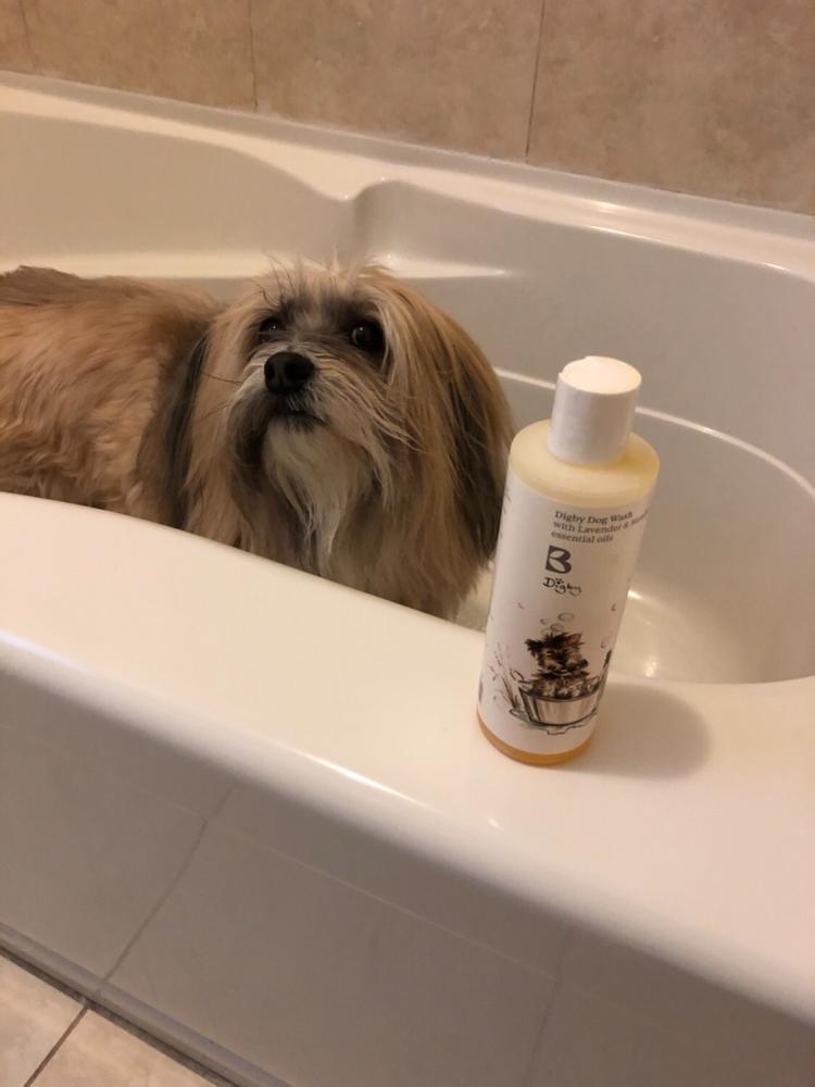 Digby Dog Wash - Customer Photo From Hindy B