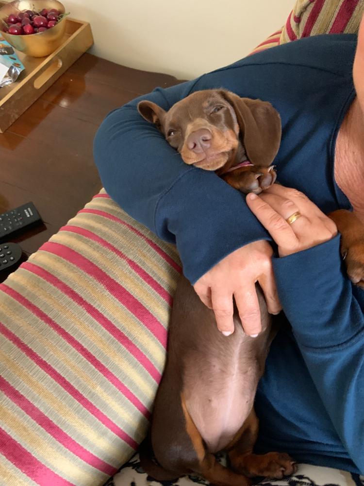 Digby Dog Wash - Customer Photo From rebecca hoddinott isaac