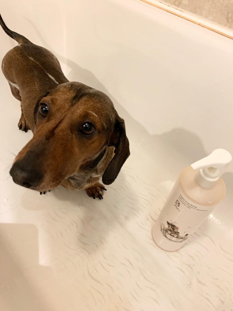 Digby Dog Wash - Customer Photo From Louise Taylor