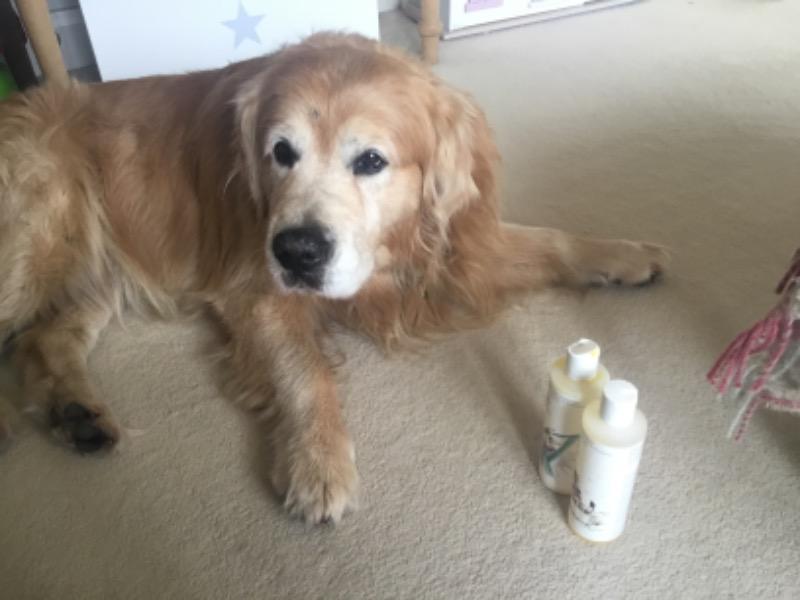 Digby Dog Conditioner - Customer Photo From Susan Thomson