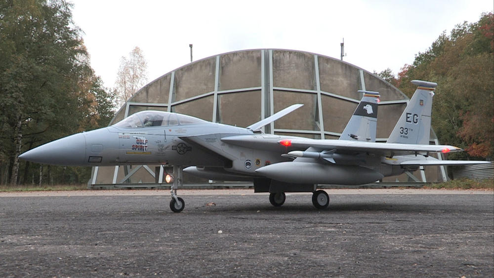 Freewing 90mm F-15C Armament and Pylon Set - Customer Photo From Erwin Hufner