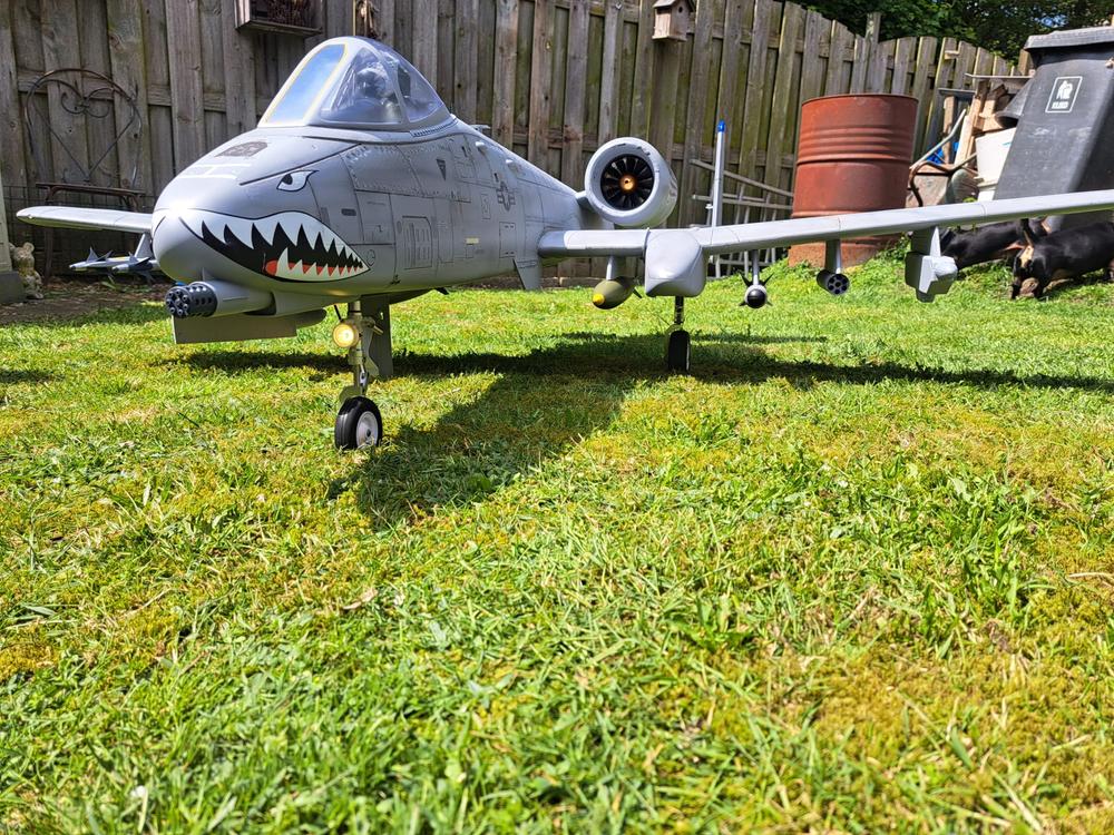 Freewing A-10 Thunderbolt II Super Scale Twin 80mm EDF Jet - ARF PLUS - Customer Photo From Robert Nijhuis