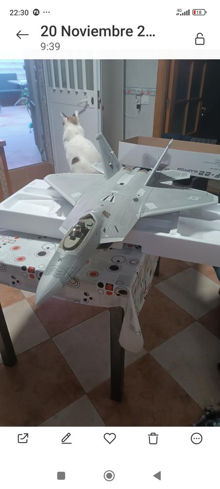 Freewing F-22 Raptor High Performance 70mm EDF Jet – PNP - Customer Photo From Diego Sevilla