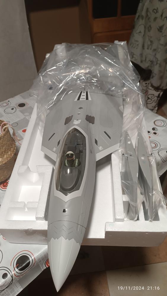 Freewing F-22 Raptor High Performance 70mm EDF Jet – PNP - Customer Photo From Diego Sevilla