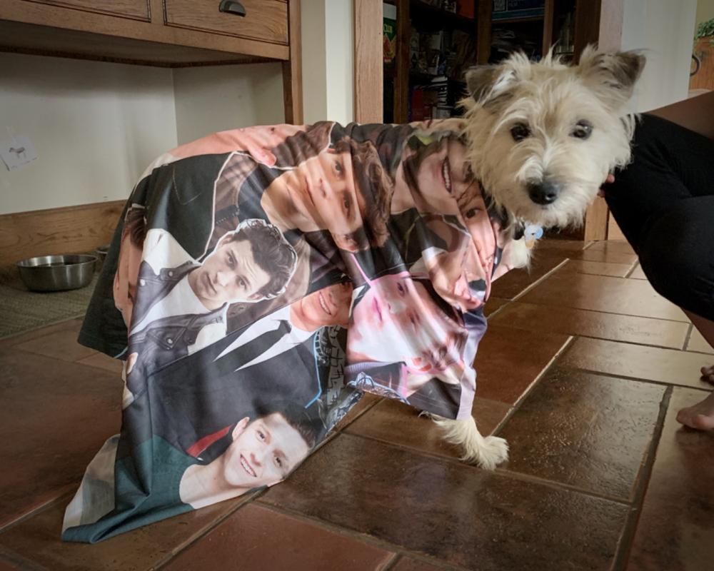 Are Zendaya And Tom Holland Engaged? - When In Manila - Foto 4