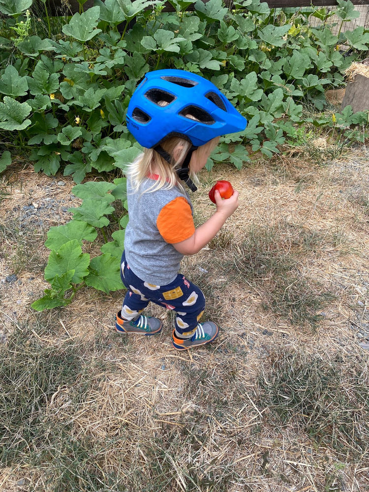 Dane Gray/Blue - Customer Photo From JACLYN SMITH