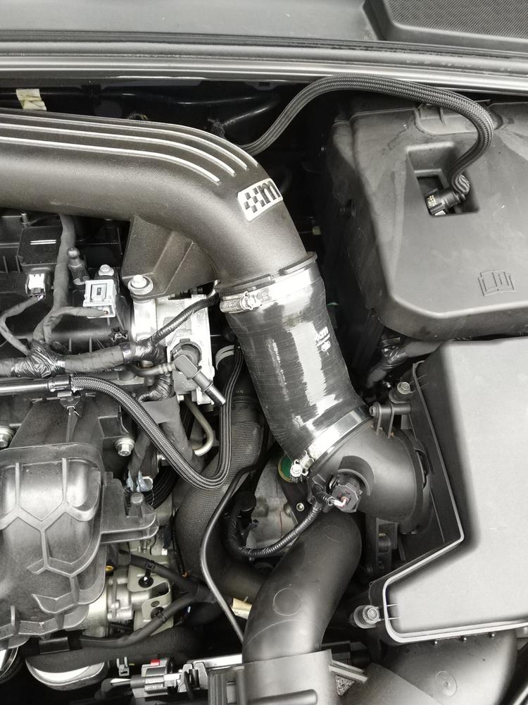 Hose Clip Kit (Induction) [Mk3 Focus RS/ST] - Customer Photo From Lee G.