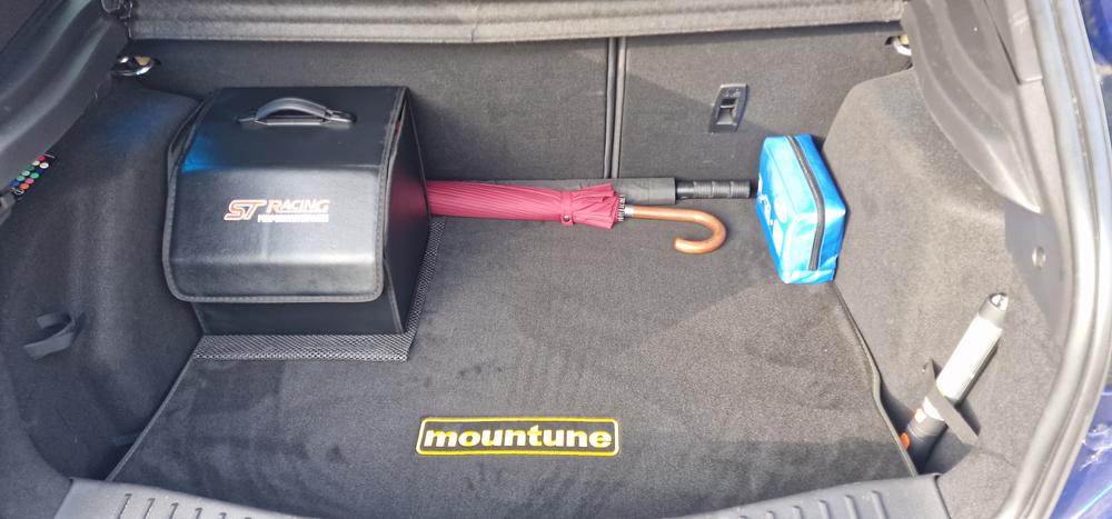 mountune LUX Floor Mats [Mk3 Focus RS/ST] - Customer Photo From Scott