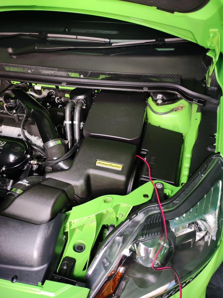 mountune V2 High Flow Air Filter - Customer Photo From mark freestone