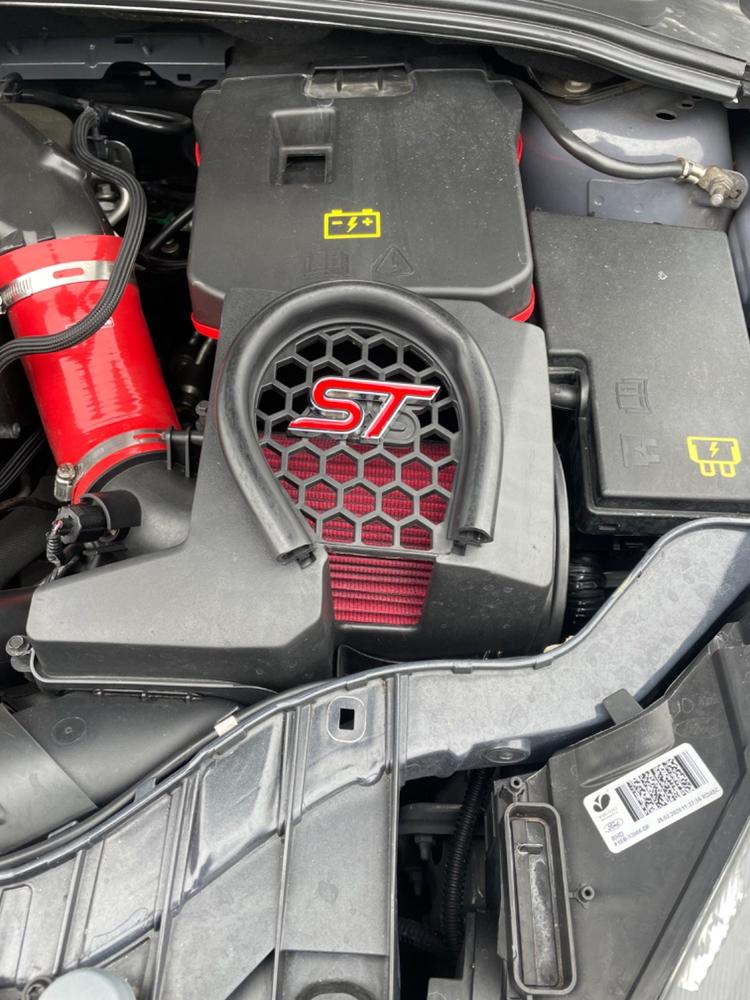 mountune V2 High Flow Air Filter - Customer Photo From Anonymous