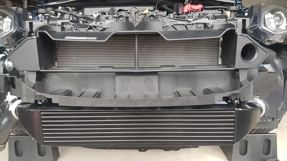 Auxiliary Cold Air Intake (ACAI) [Mk8 Fiesta ST] - Customer Photo From Anonymous