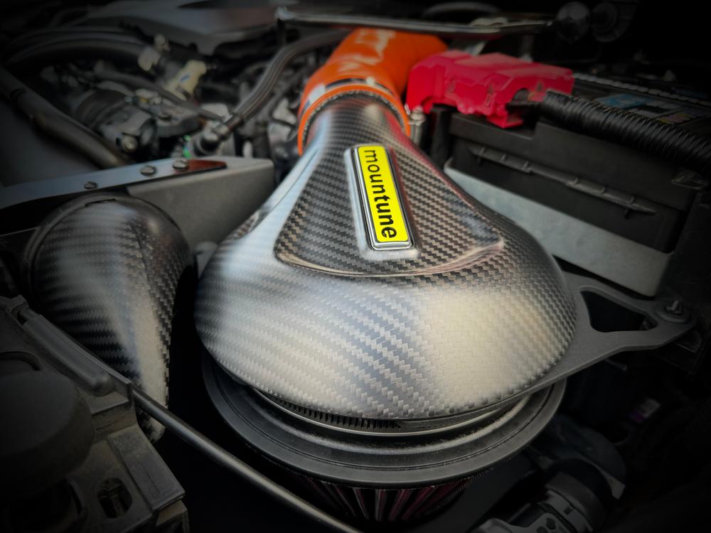 Carbon Induction Kit [Mk8 Fiesta ST | Puma ST] - Customer Photo From scott 