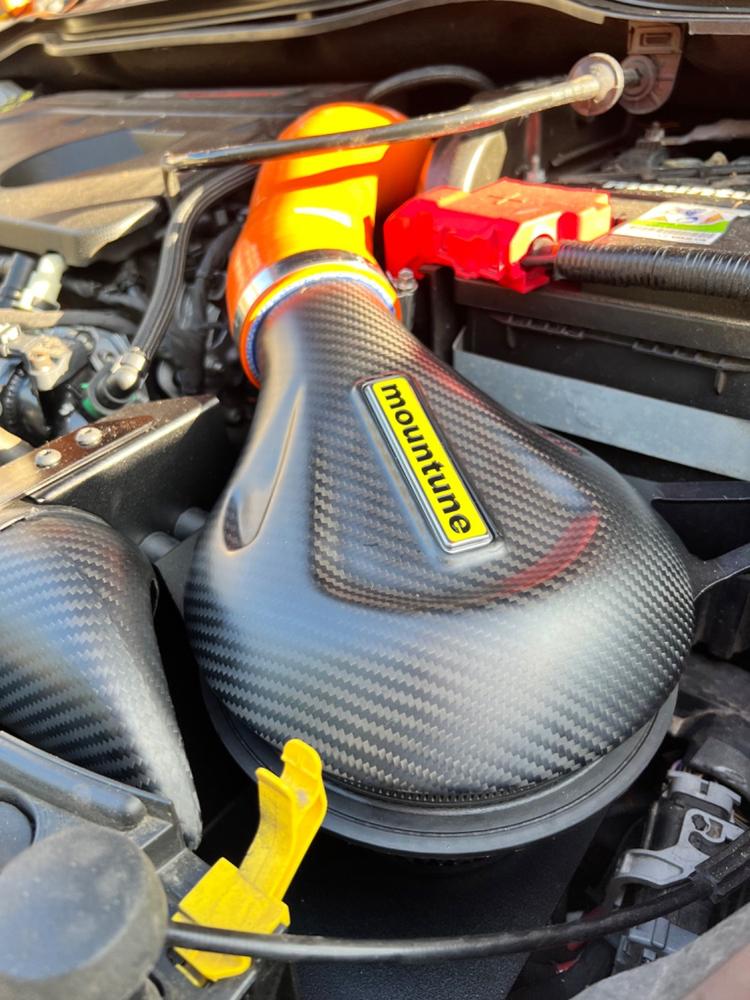 Carbon Induction Kit [Mk8 Fiesta ST | Puma ST] - Customer Photo From Pete Jones