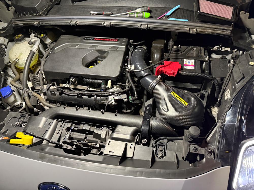 Carbon Induction Kit [Mk8 Fiesta ST | Puma ST] - Customer Photo From Thomas Moseley 