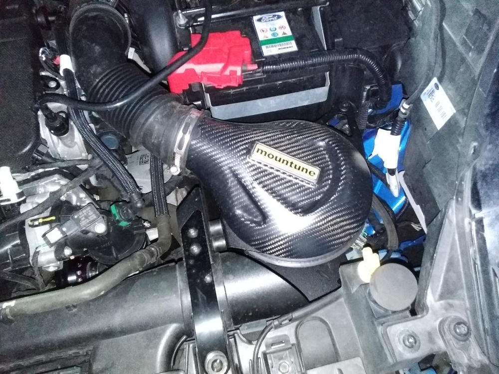 Carbon Induction Kit [Mk8 Fiesta ST | Puma ST] - Customer Photo From Anonymous