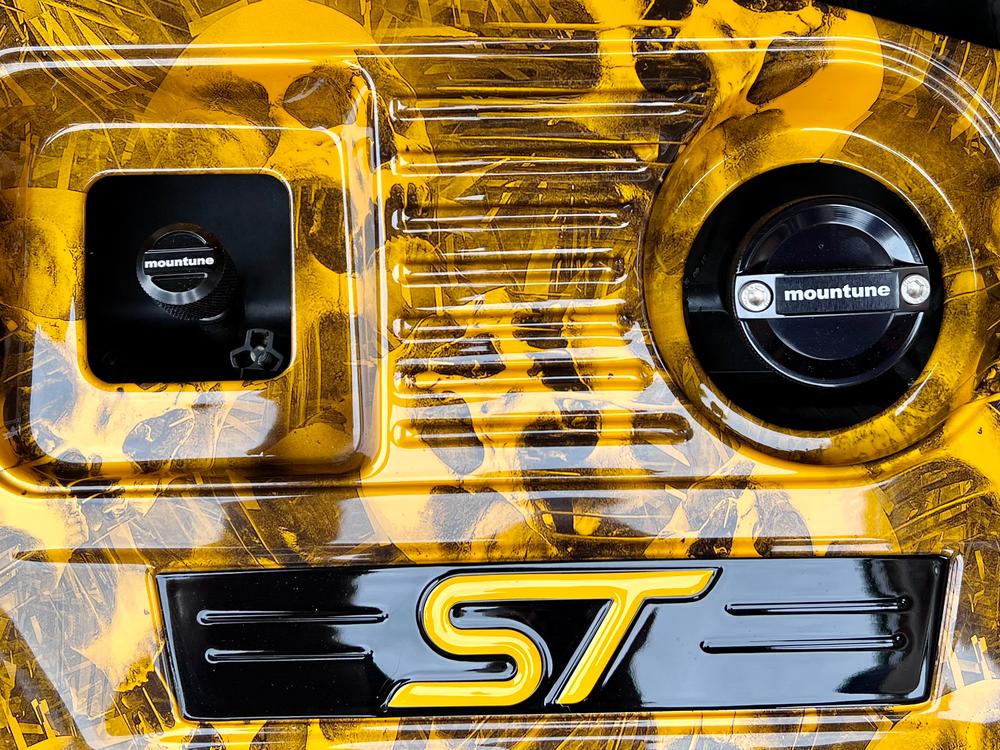 Billet Oil Dipstick [Mk3 Focus RS/ST] - Customer Photo From Steven Kryzaniwski