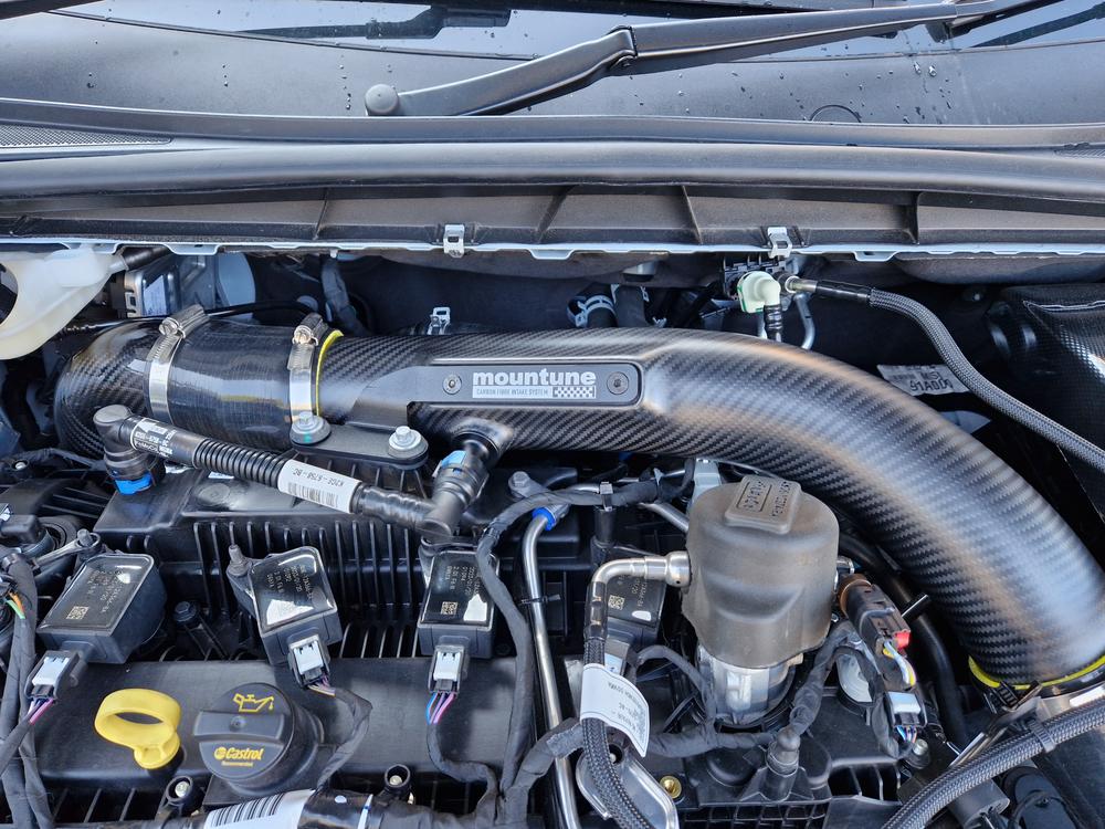 Carbon Rear Intake [Mk4 Focus ST] - Customer Photo From P Horne