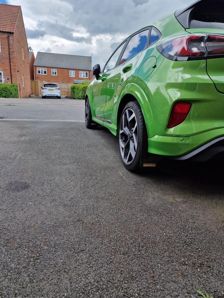 Mud Flaps [Puma ST] - Customer Photo From Anonymous