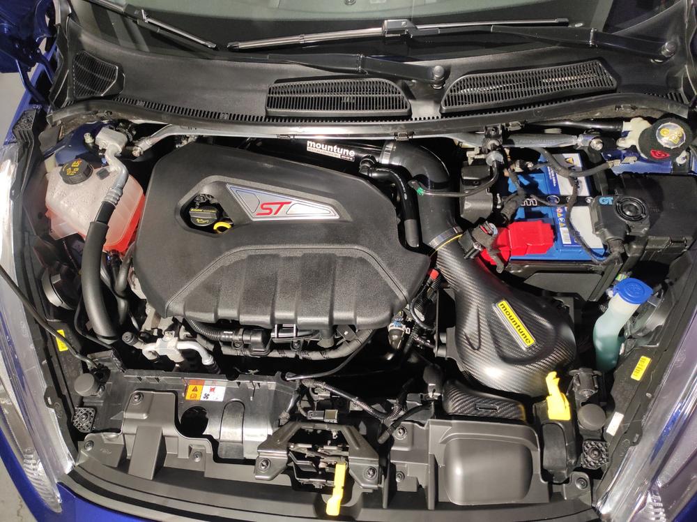 Carbon Induction Kit [Mk7 Fiesta ST] - Customer Photo From Anonymous