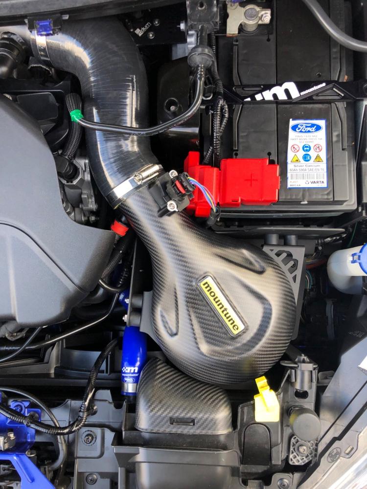 m310 Power Upgrade Kit [Mk7 Fiesta ST] - Customer Photo From glenn jones
