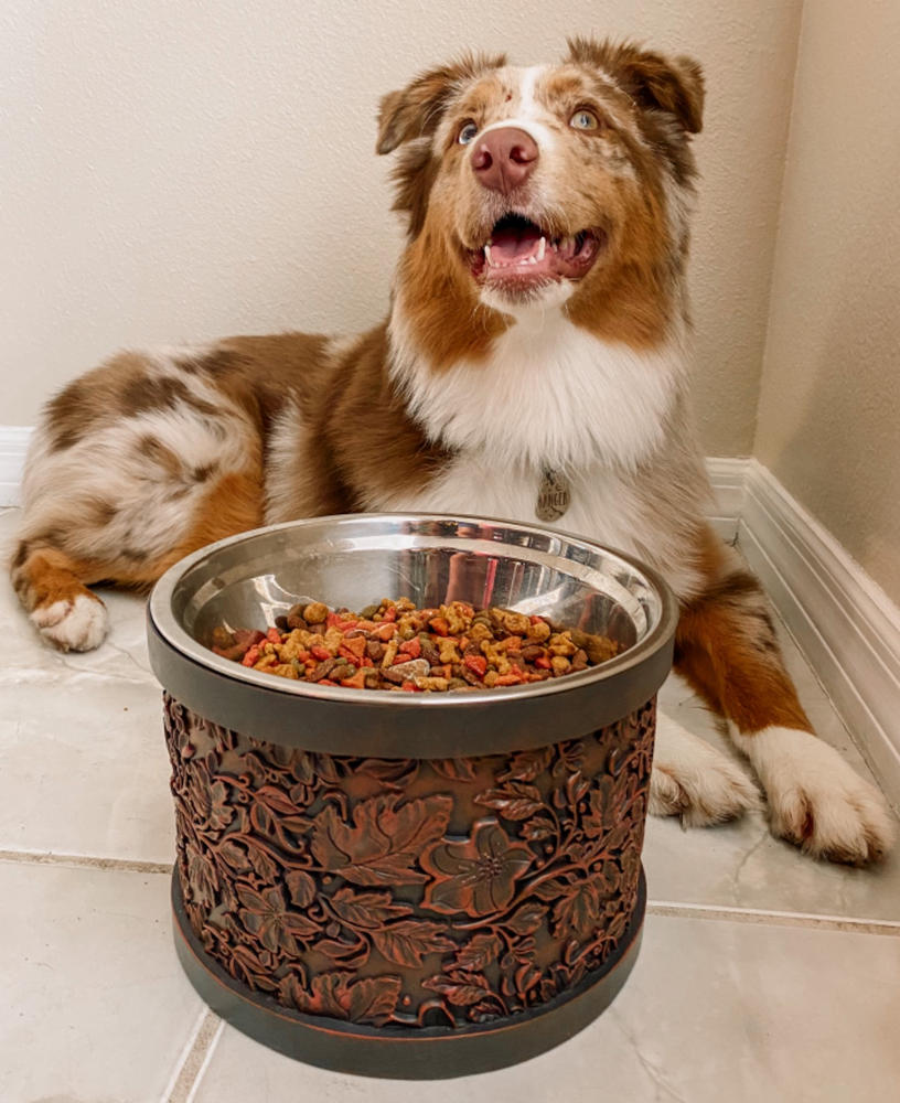 Pet Junkie Summit Elevated Dog Bowl for Food or Water Stainless Steel Washable Inner Bowl Brown (Large)