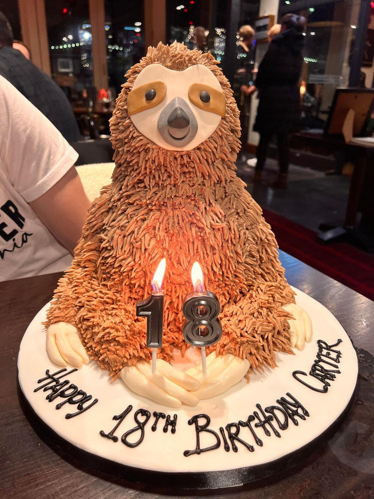 Sloth Cake - Customer Photo From Mrs Rachael Lawrence