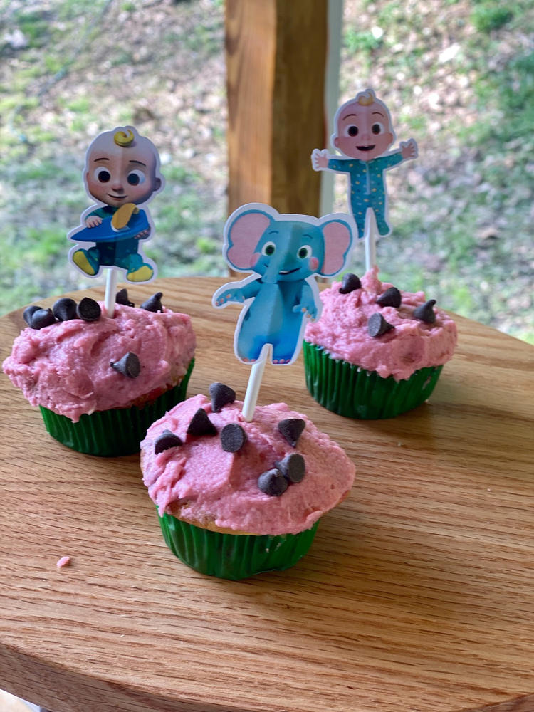 Cocomelon Cupcake Toppers Birthday Party - CMPartycreations