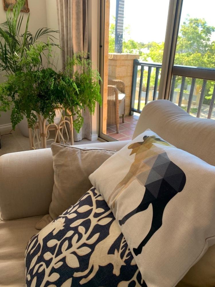 Bronte Moose Rectangular Cushion Cover - 30cm x 50cm - Customer Photo From Alice Cuneo