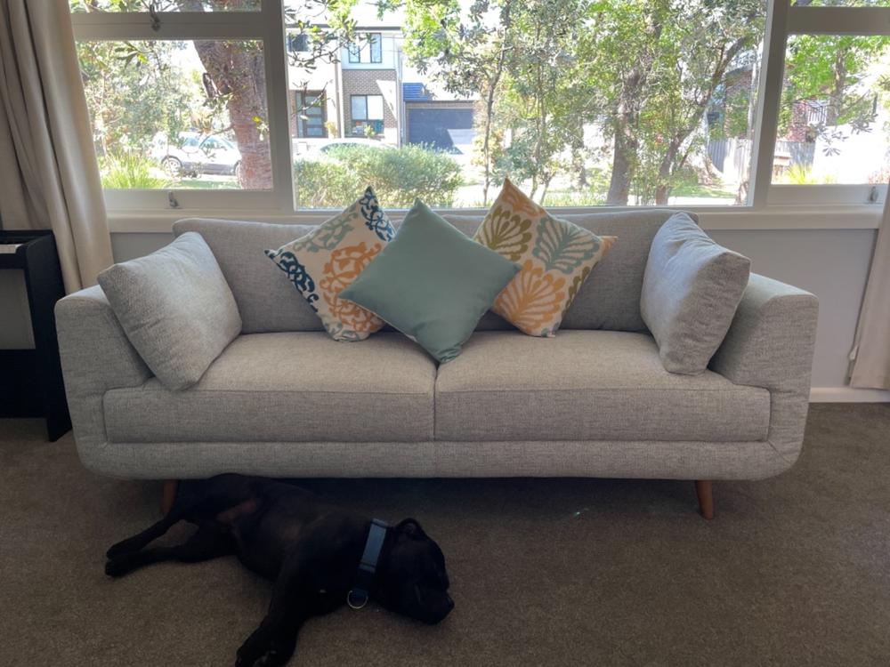 Juno Teal 6 Cushion Cover Collection - Customer Photo From Tim Mayoh
