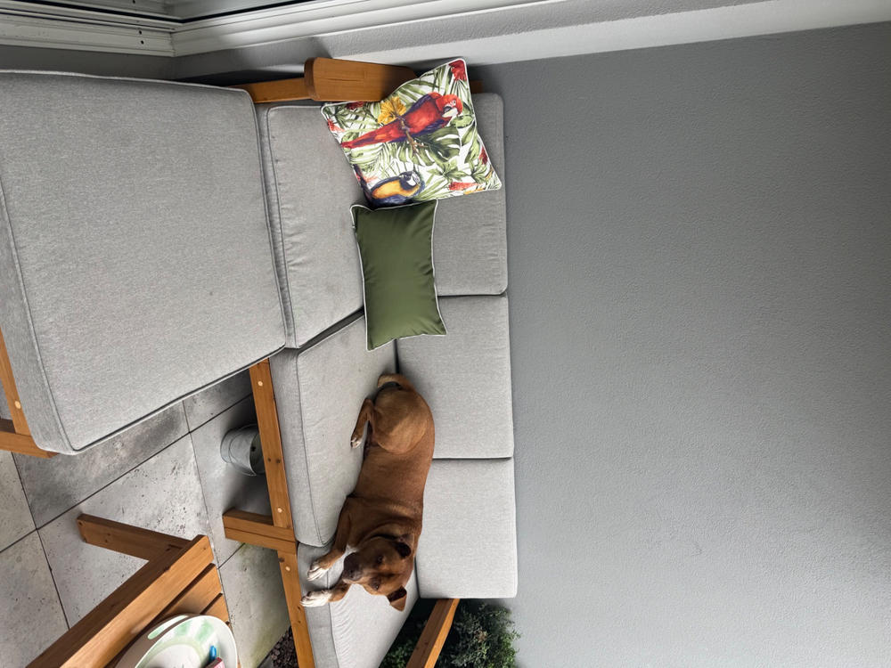 Airlie Waterproof Parrot Tropical Outdoor Cushion Cover - Customer Photo From Gail Bonnor