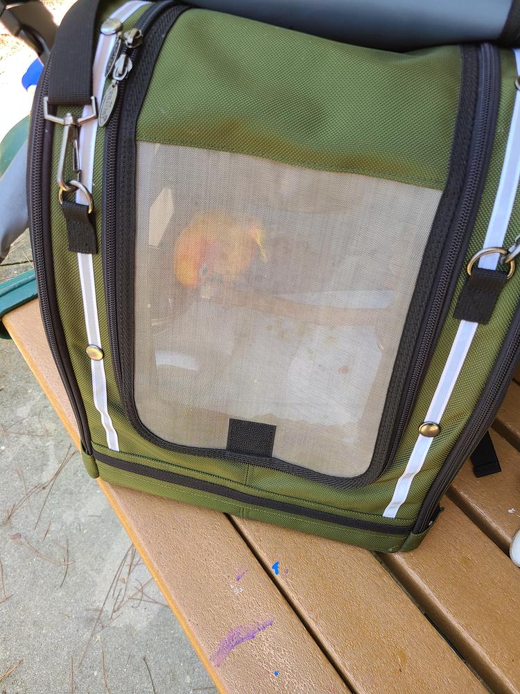 Celltei Pak-o-Macaw Backpack Carrier for Macaw
