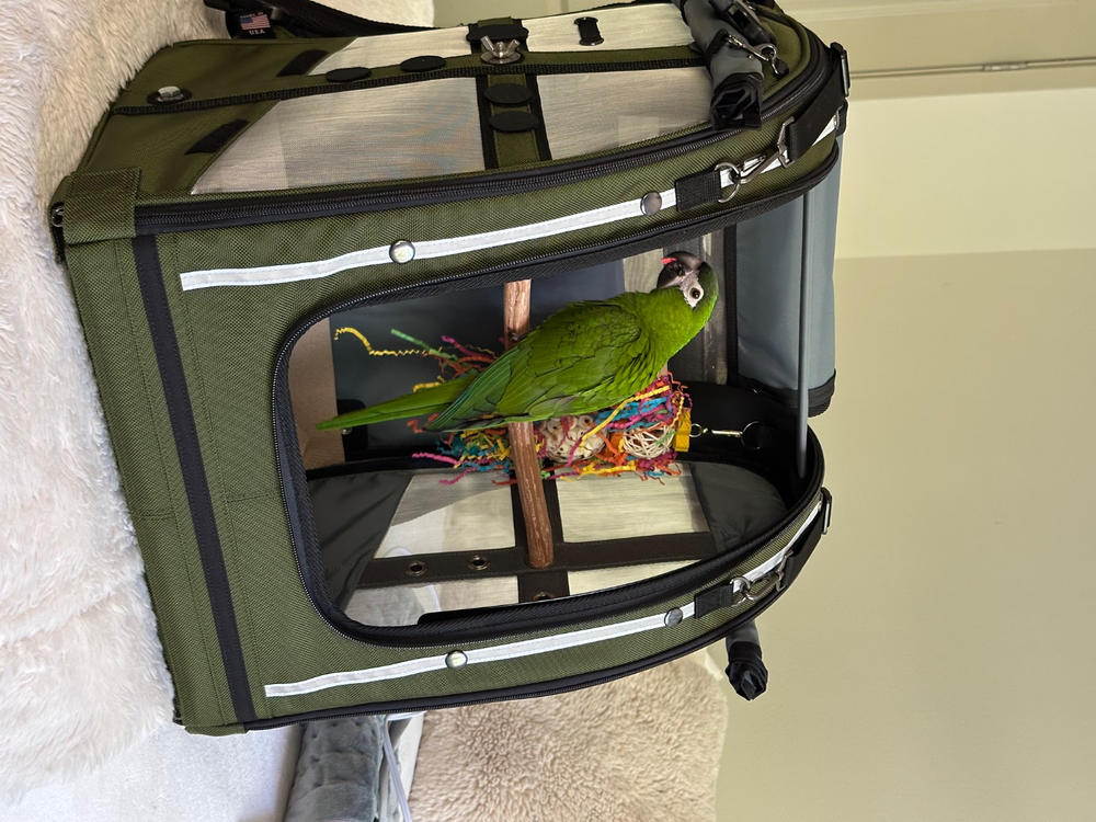 Celltei Pak-o-Bird Travel Carrier - Medium Size - Made in USA