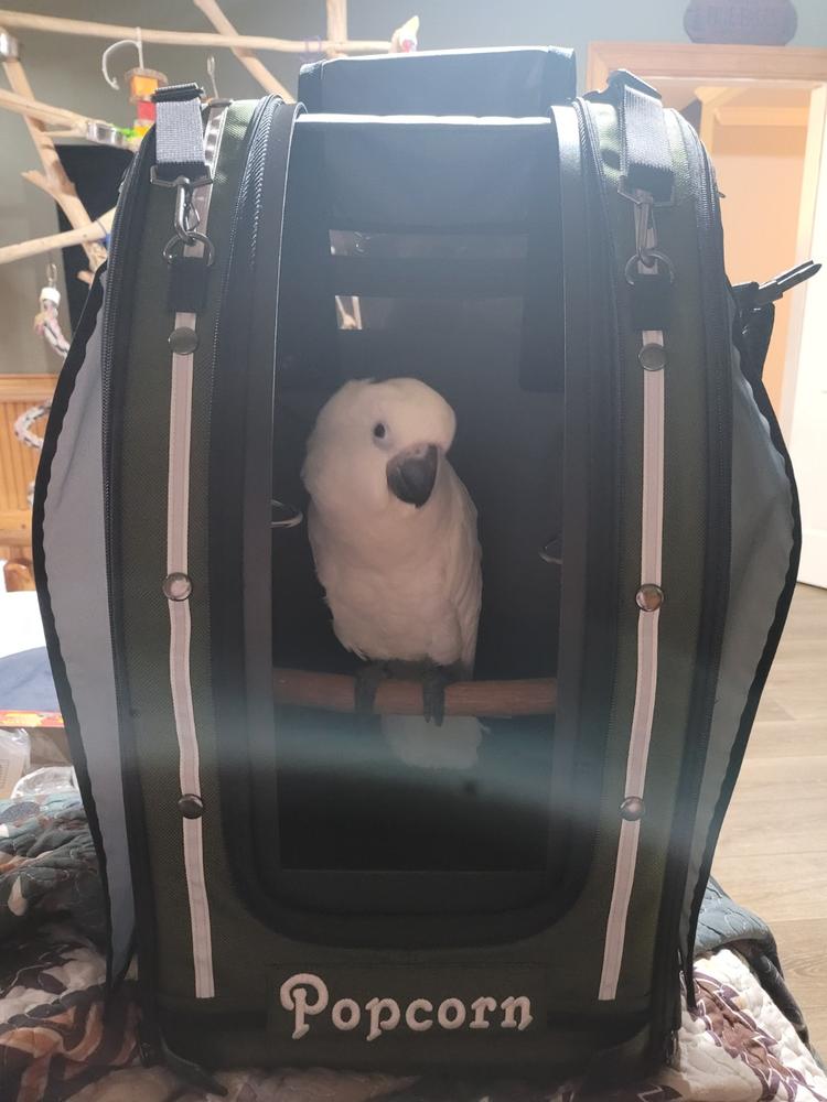 Pak-o-Bird ML Size - First made for the very determined Umbrella Cockatoos - Customer Photo From Vikki Moore