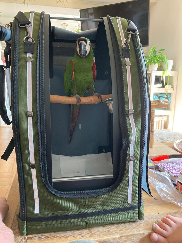 Pak-o-Bird ML Size - First made for the very determined Umbrella Cockatoos - Customer Photo From Irena