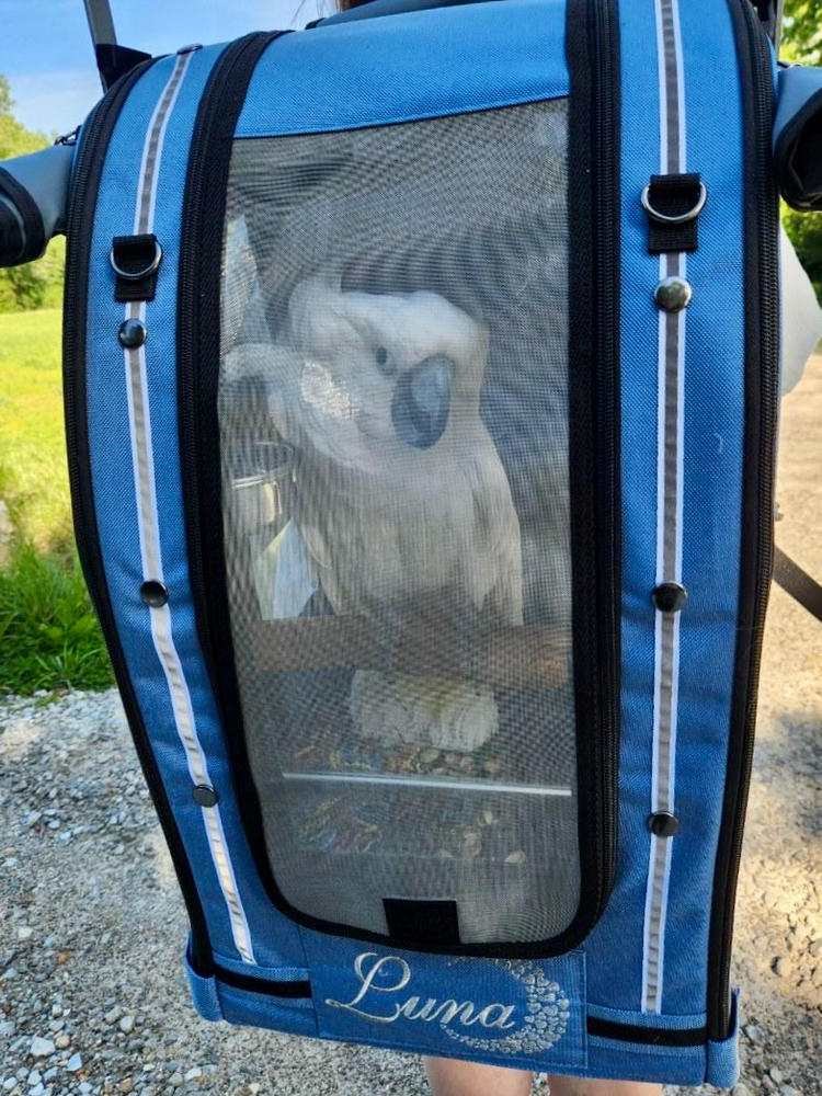 Celltei Pak-o-Bird Travel Carrier - ML Size - Made in USA