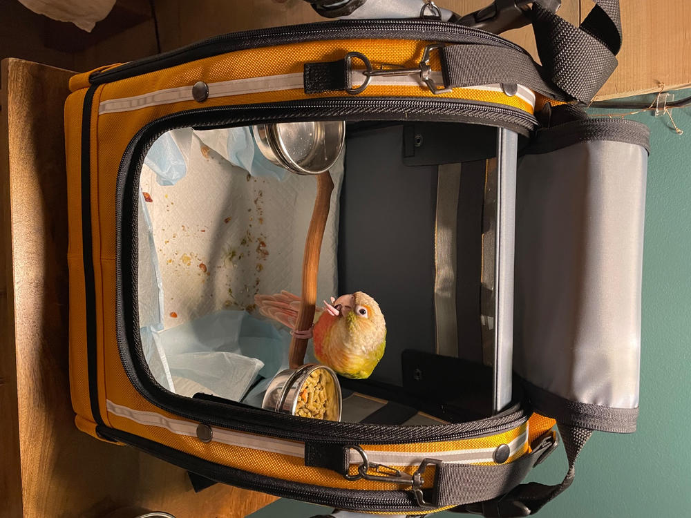 Celltei Pak-o-Bird Travel Carrier - XS Size - Made in USA