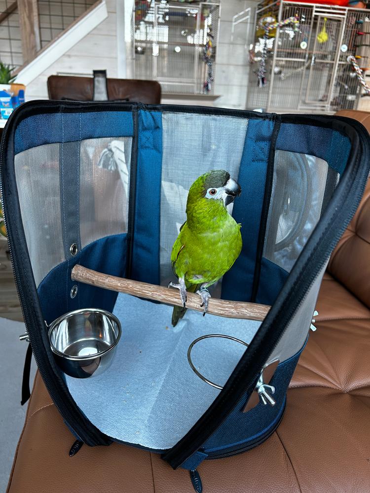 Celltei Birdie GoGo Travel Carrier - Medium Size - Made in USA