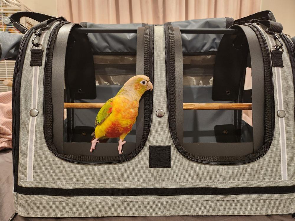 Celltei Pak-o-Bird Travel Carrier - Double Small Size - Made