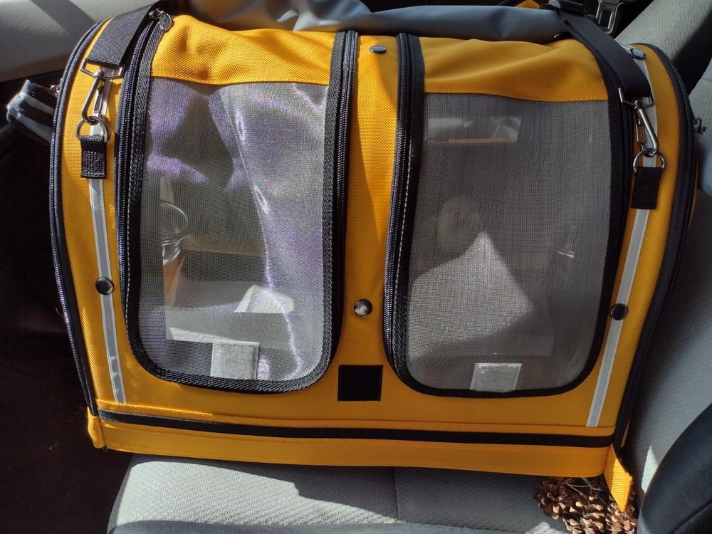 Celltei Pak-o-Bird Travel Carrier - Double Small Size - Made