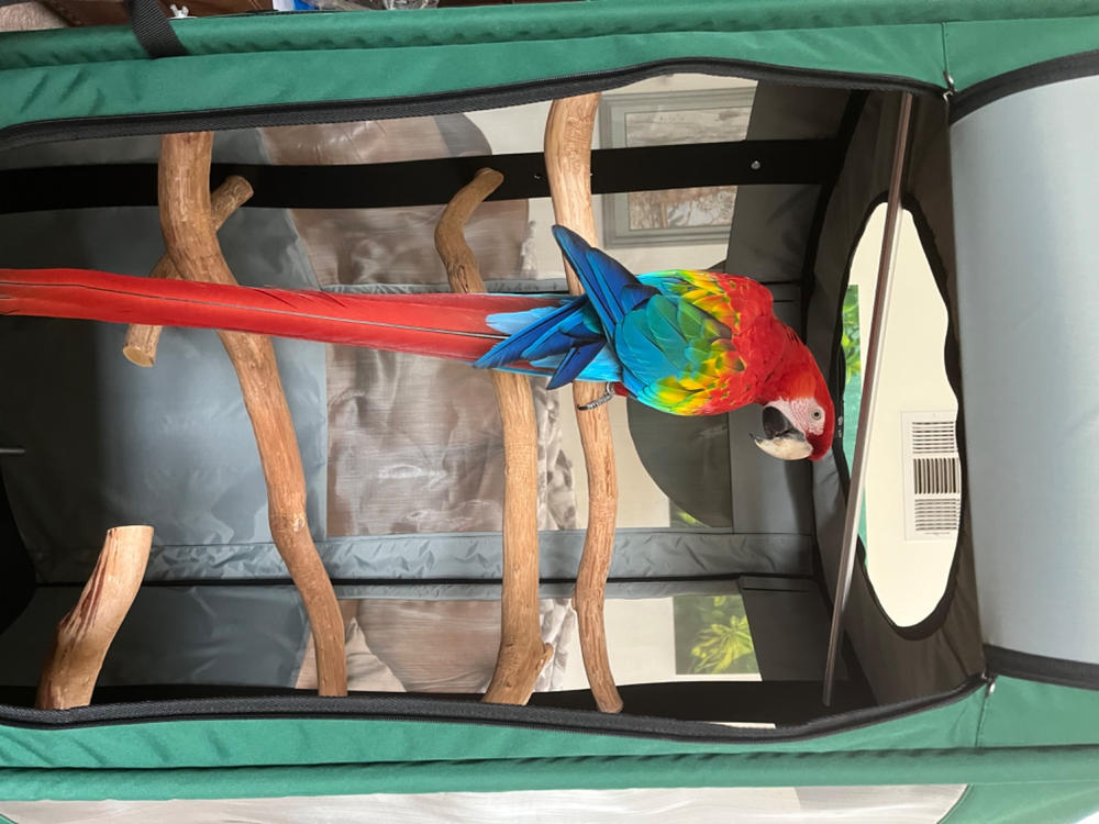 Bird Travel Aviary  - Customer Photo From William Bouton