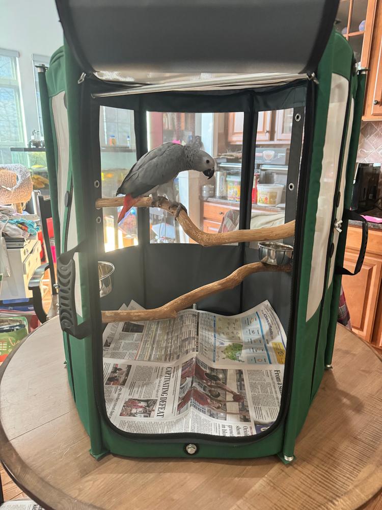 Bird Travel Aviary  - Customer Photo From Joseph Annelli
