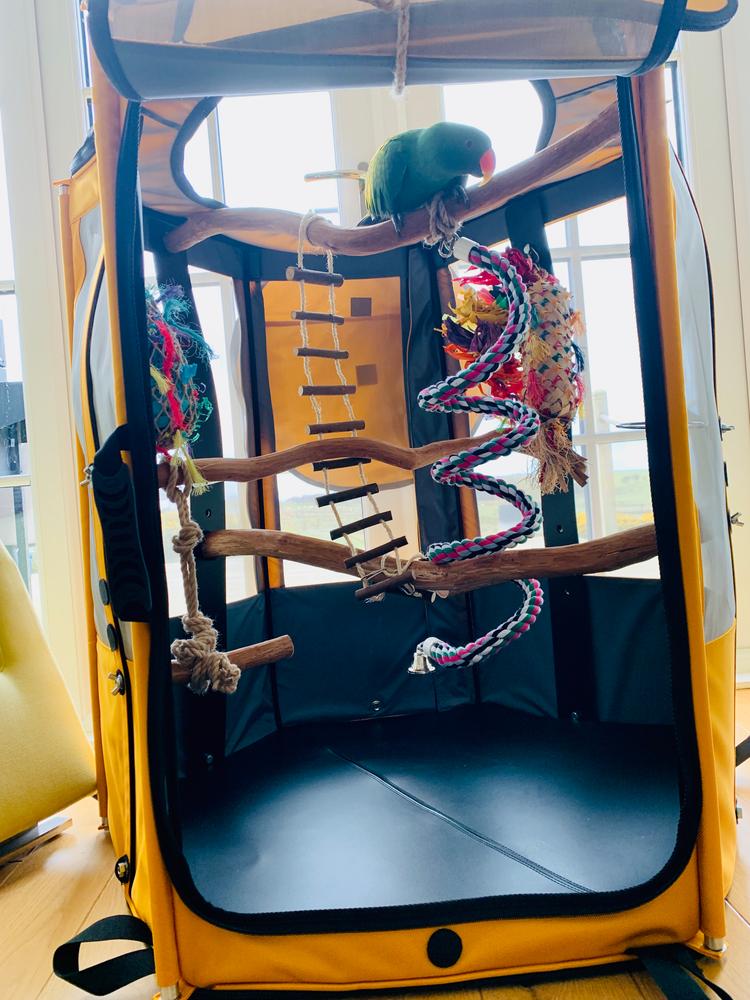 Bird Travel Aviary  - Customer Photo From Bap