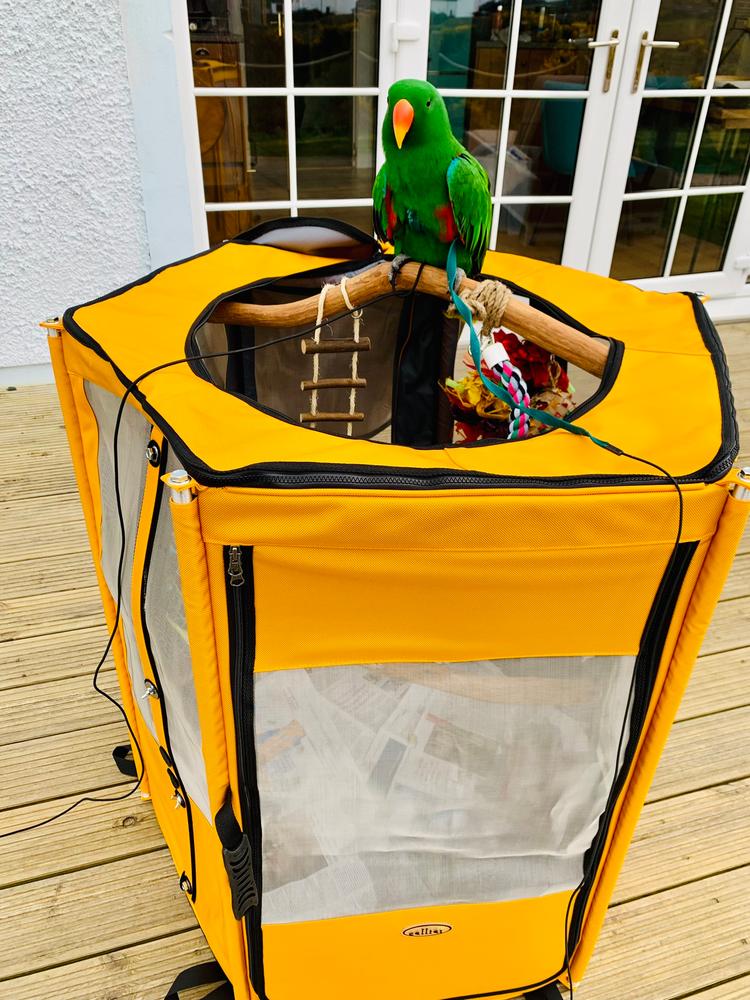 Bird Travel Aviary  - Customer Photo From Bap