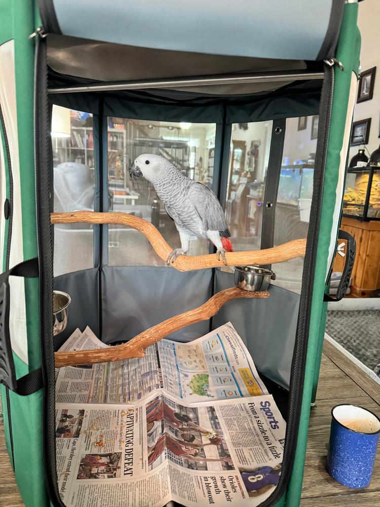Bird Travel Aviary  - Customer Photo From Joseph Annelli